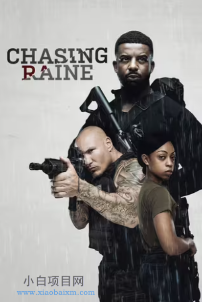 2024美国动作片《终极追捕》高清下载