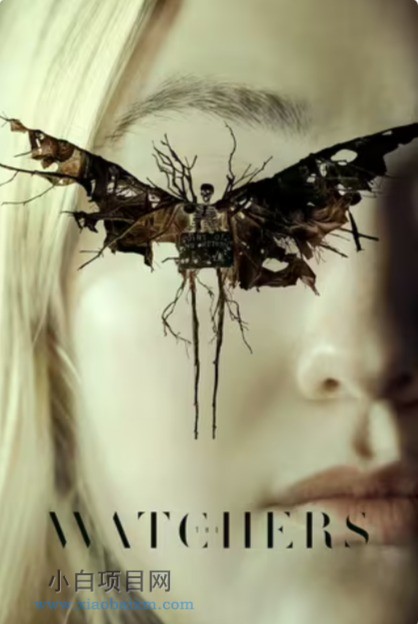 2024美国奇幻惊悚片《神秘窥视》高清下载