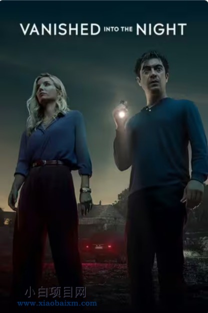 2024欧美惊悚片《黑夜谜踪》高清下载