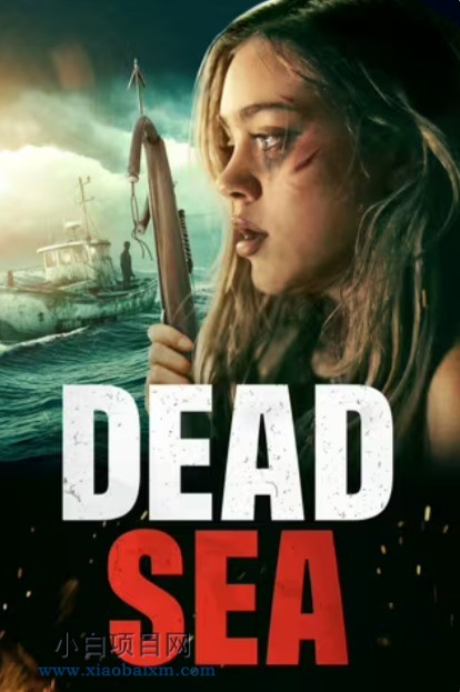 2024美国犯罪惊悚片《死海求生》高清下载