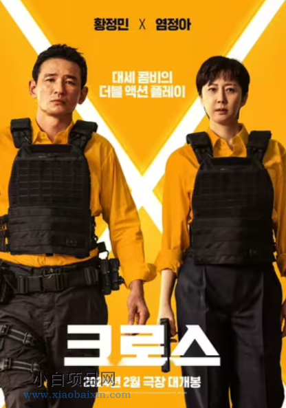 2024韩国动作片《跨界任务》高清下载