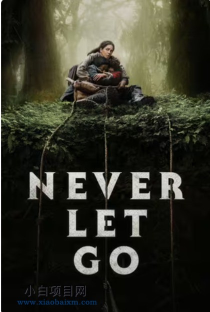 2024美国惊悚片《千万别松手》高清下载