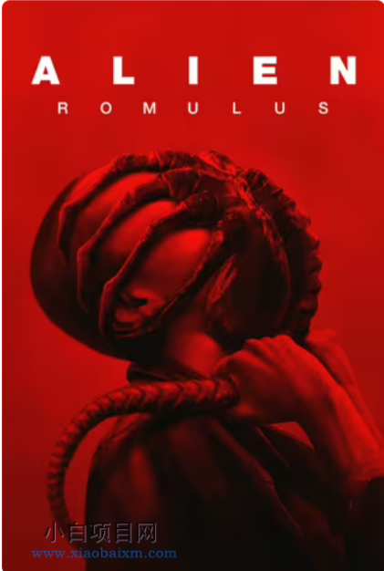 2024美国恐怖片《异形：夺命舰》高清下载