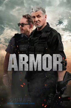 2024美国动作片《怒劫运钞车》高清下载