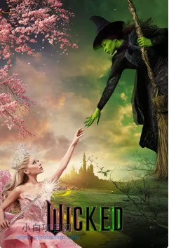 2024美国奇幻片《魔法坏女巫》高清下载