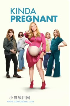 2025美国爱情片《肚假情真》高清下载