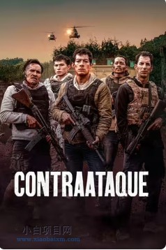 2025欧美动作片《边境奇袭》高清下载