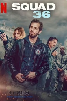 2025欧美犯罪片《36总局：势不两立》高清下载