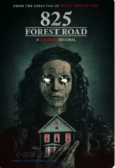 2025美国恐怖片《林荫路825号》高清下载