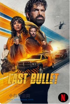 2025法国动作片《罪证子弹3》高清下载