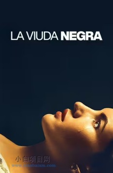 2025欧美犯罪片《寡妇游戏》高清下载