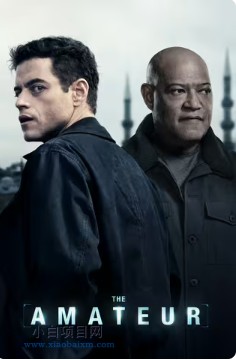 2025美国惊悚片《谍网追凶》高清下载