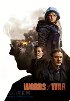 2025美国惊悚片《战地之声》高清下载