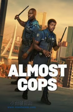 2025欧美动作片《凹凸双雄》高清下载