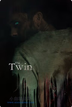 2025美国恐怖片《身后灵》高清下载