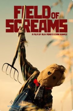 2025美国恐怖片《尖叫之地》高清下载