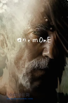 2025美国剧情片《银莲花》高清下载