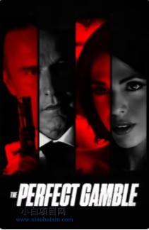 2025美国犯罪片《完美赌局》高清下载