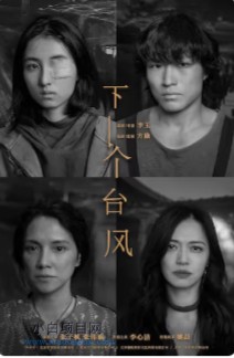 2025国产剧情片《下一个台风》高清下载