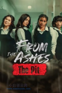 2025欧美剧情片《校园火劫：深渊》高清下载