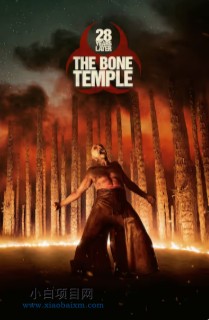 2026美国惊悚片《惊变28年2：白骨圣殿》高清下载