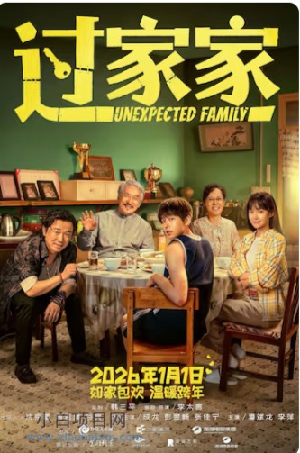 2026国产剧情片《过家家》高清下载