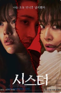 2026韩国惊悚片《姐妹》高清下载