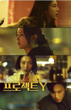 2025韩国动作惊悚片《Y计划》高清下载