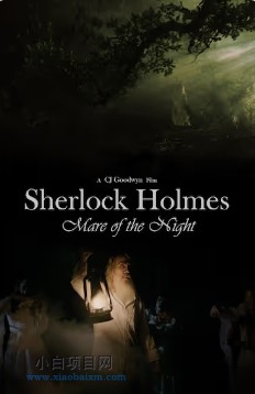 2025美国悬疑片《福尔摩斯：夜魇》夸克网盘下载