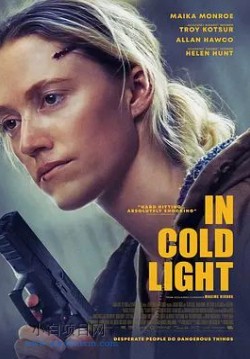 2025欧美动作片《冷光中》夸克网盘下载