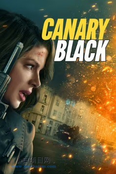 2024英国动作片《黑雀特工》高清下载