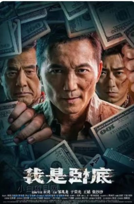 2026国产动作片《我是卧底》高清下载