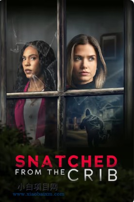 2026美国惊悚片《摇篮劫婴》高清下载