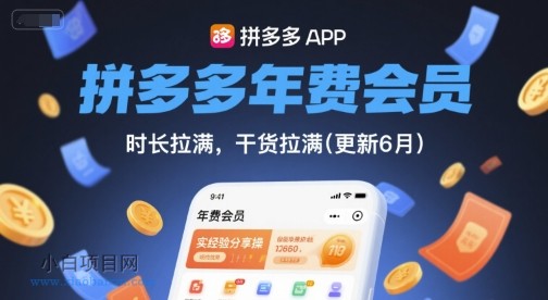 【匠心小白】拼多多年费会员，实经验分享操，时长拉满，干货拉满(更新26年3月)-小白项目分享网