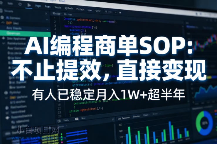 【匠心小白】AI编程商单SOP，AI编程不能只给工作提效，还要直接变现，有人已经稳定月入1W+半年了-小白项目分享网