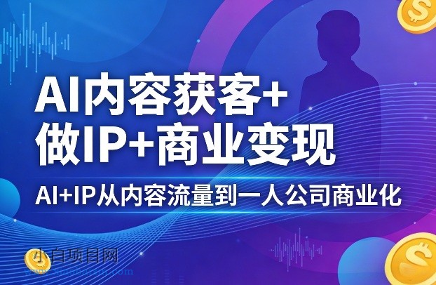 【匠心小白】AI内容获客+做IP+商业变现，AI+IP从内容流量到一人公司商业化-小白项目分享网