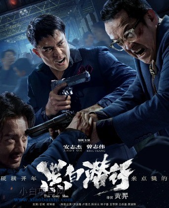 2024国产动作犯罪片《黑白潜行》高清下载