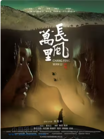 2024国产动作悬疑片《长风万里》高清下载