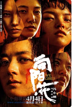 2025国产剧情片《向阳·花》高清下载