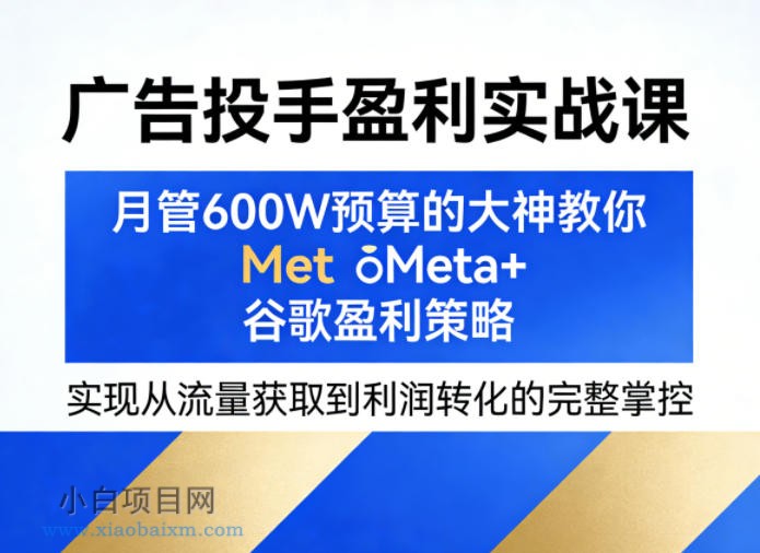 广告投手盈利实战课，月管600W预算的大神教你Meta+谷歌盈利策略，实现从流量获取到利润转化的完整掌控-小白项目分享网
