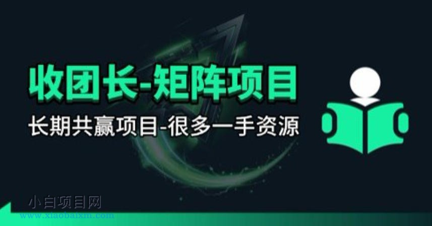 【团长合作】视频矩阵项目_招发手矩阵+剪辑师，共赢项目【揭秘】-小白项目分享网