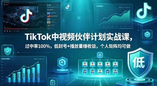 TikTok中视频伙伴计划实战课，过中率100%，低封号+播放量賺收益，个人矩阵均可做-小白项目分享网