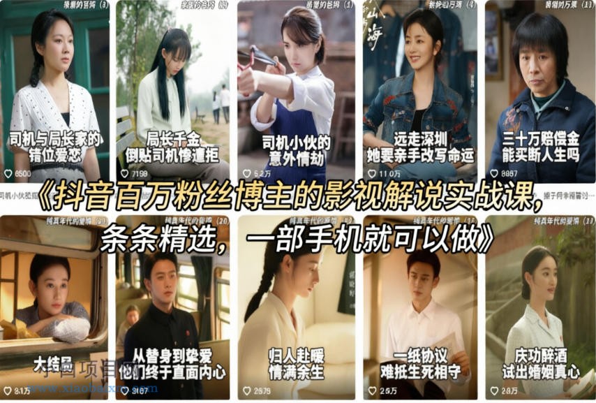 【小鲁分享网】抖音百万粉丝博主的影视解说实战课，精选独家解说教学，条条精选，一部手机就可以做-小白项目分享网