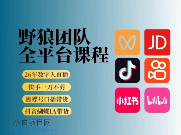 野狼团队2026新版全平台短视频带货教学，打开流量突破口，开始Ai带货（更新26年4月25日）-小白项目分享网