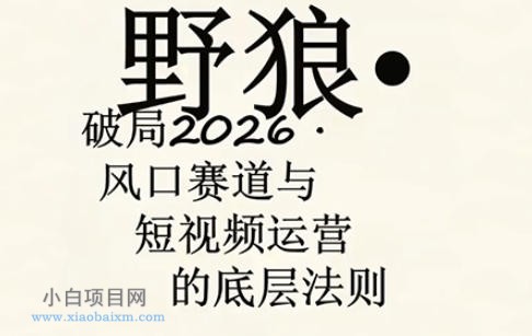 野狼团队·多平台实操运营课，覆盖AI口播、服装、好物、漫剪等热门玩法（更新4月）-小白项目分享网