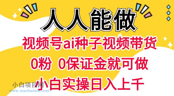 视频号AI种子带货，0粉0保证金就可做，人人能做，实操日入1k+-小白项目分享网
