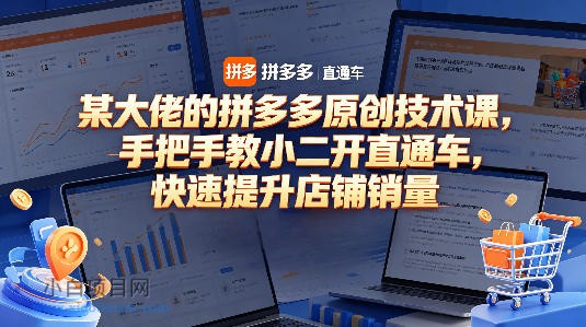 某大佬的拼多多原创技术课，手把手教小二开直通车，快速提升店铺销量-小白项目分享网