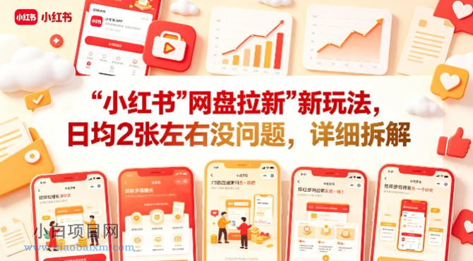 小红书【网盘拉新】新玩法，日均2张左右没问题，详细拆解-小白项目分享网