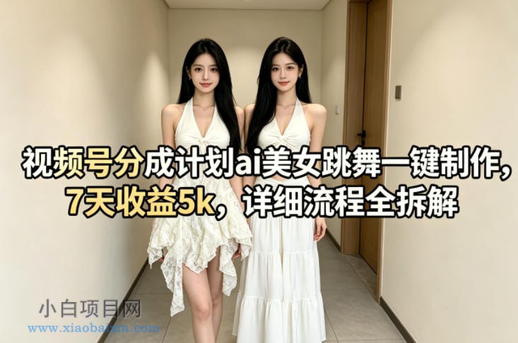 视频号分成计划ai美女跳舞一键制作，7天收益5k，详细流程全拆解-小白项目分享网