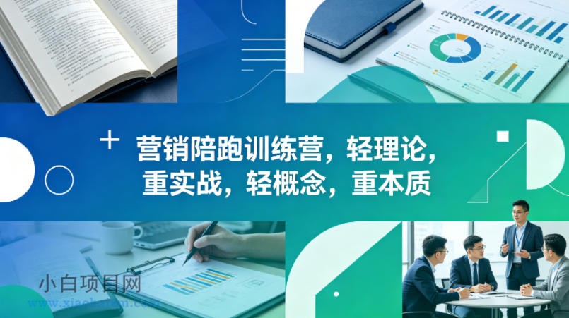老A营销陪跑训练营，轻理论，重实战，轻概念，重本质（更新2026年4月）-小白项目分享网